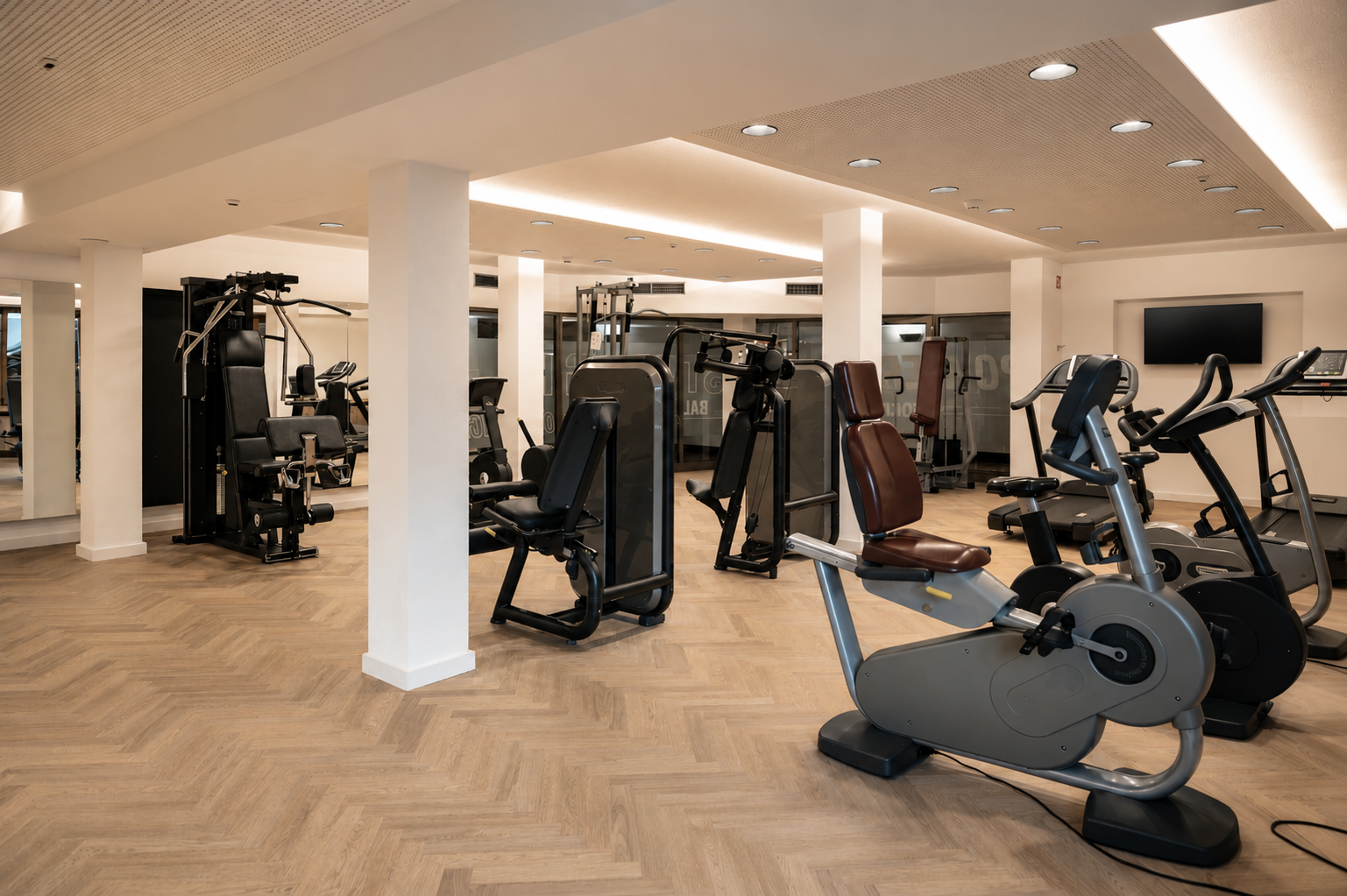 palestra